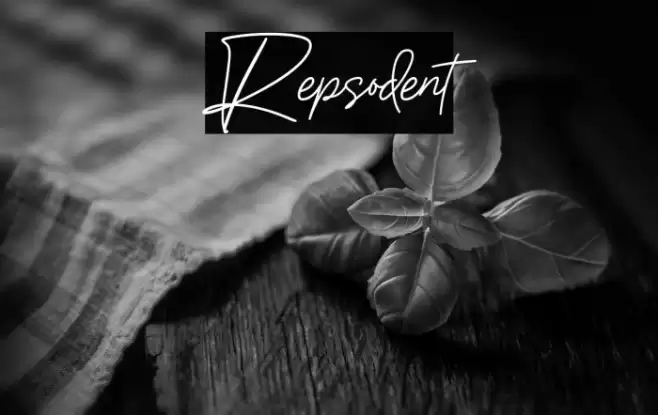 Repsodent Font examples