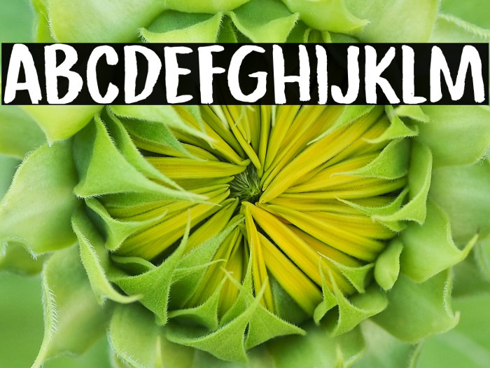 Republica Banana DEMO Regular Example 1