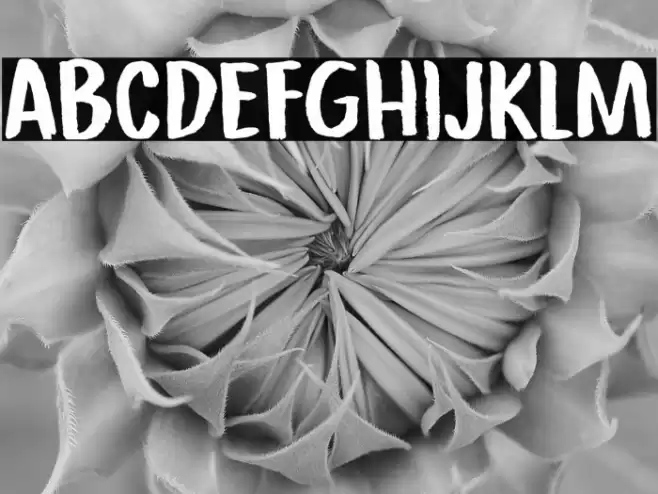 Republica Banana DEMO Regular Font examples