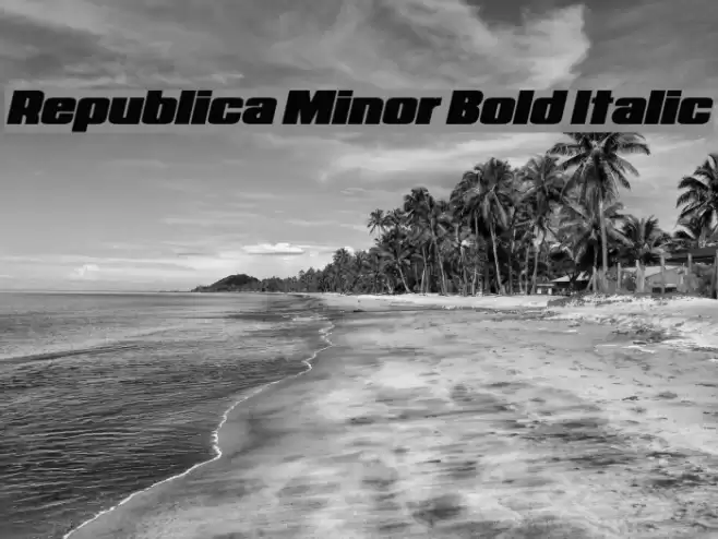 Republica Minor Bold Italic Font examples
