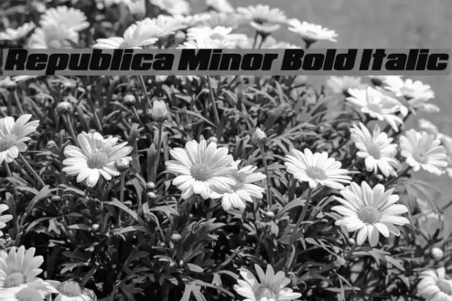 Republica Minor Bold Italic Font examples