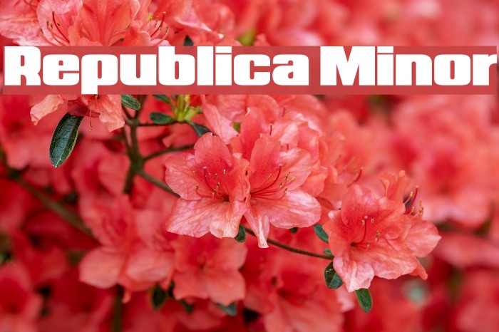 Republica Minor Font examples