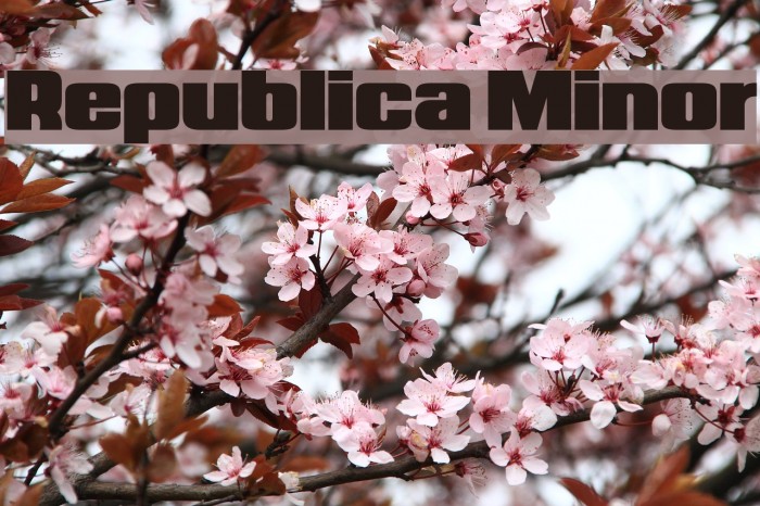 Republica Minor Font examples