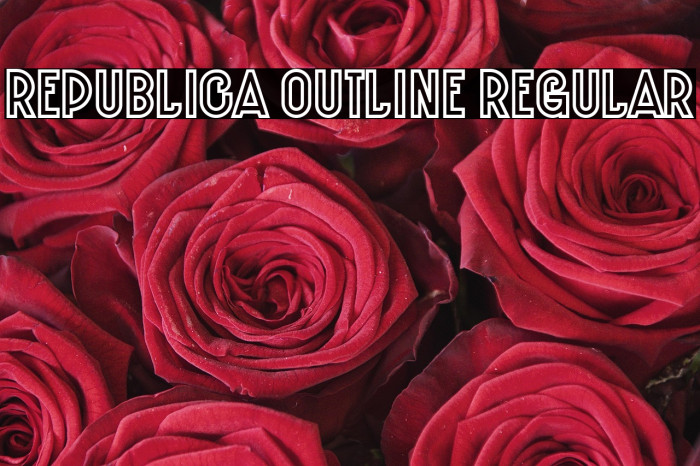 Republica Outline Regular Example 1