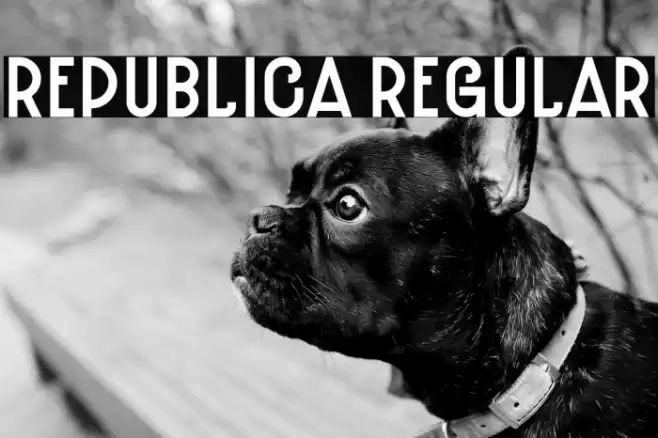 Republica Regular Font examples