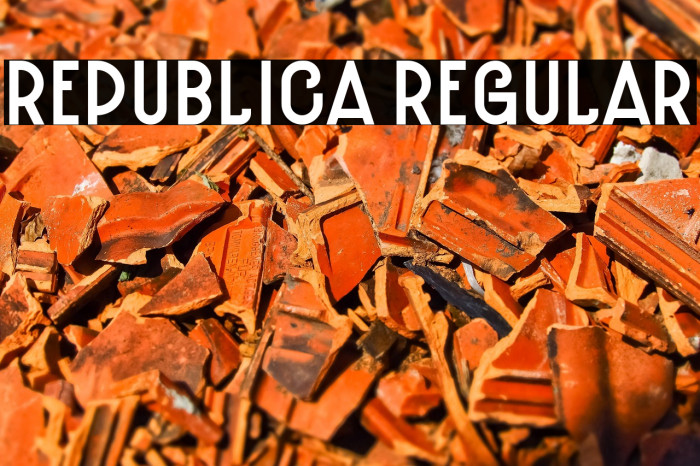 Republica Regular Example 3