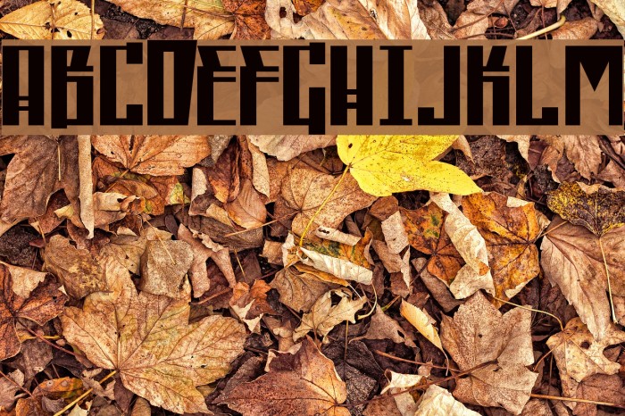Republica Schriftart examples