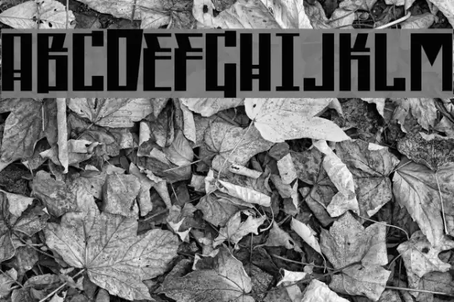 Republica Font examples