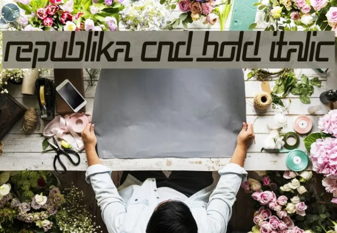 Republika Cnd Bold Italic Example 3