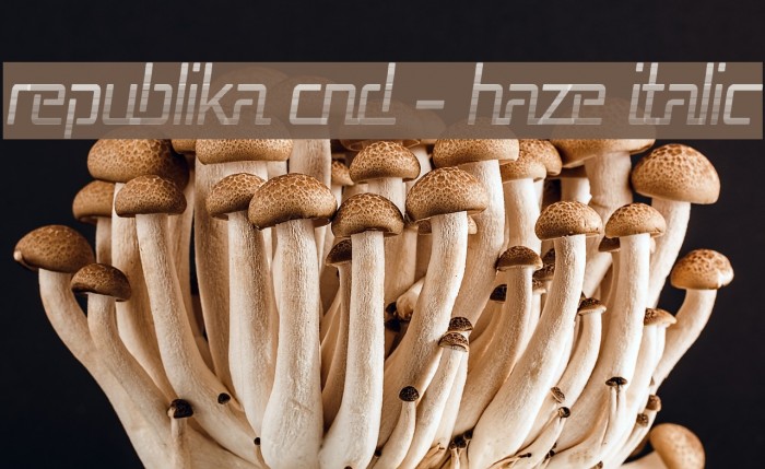 Republika Cnd - Haze Italic Font examples
