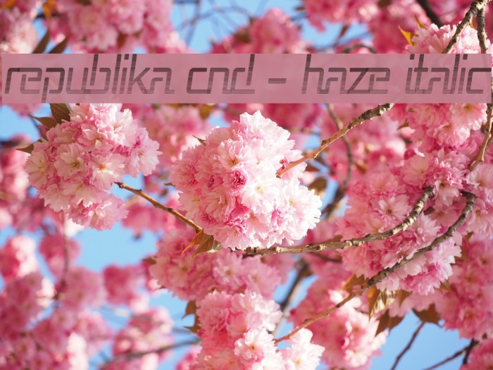 Republika Cnd - Haze Italic Font examples