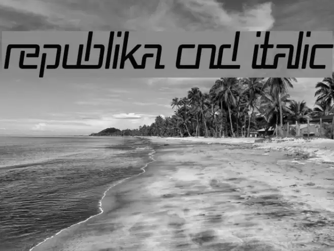 Republika Cnd Italic Font examples