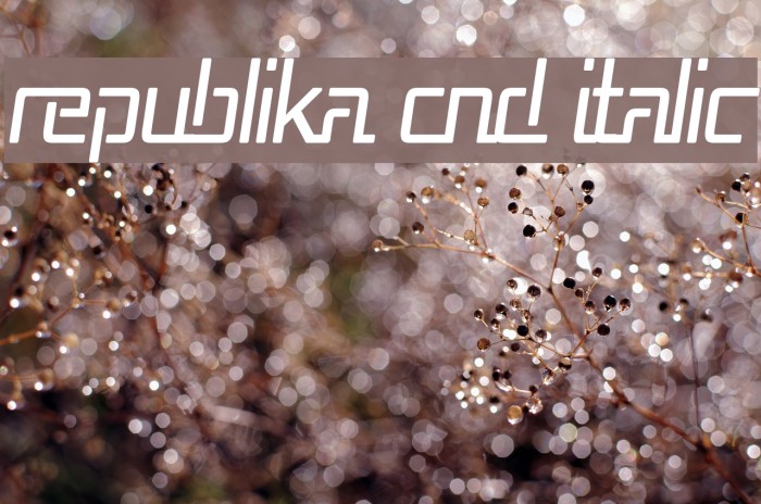 Republika Cnd Italic Font examples