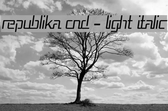 Republika Cnd - Light Italic Font examples