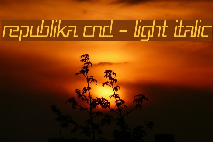 Republika Cnd - Light Italic Font examples