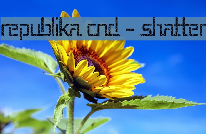 Republika Cnd - Shatter Example 3