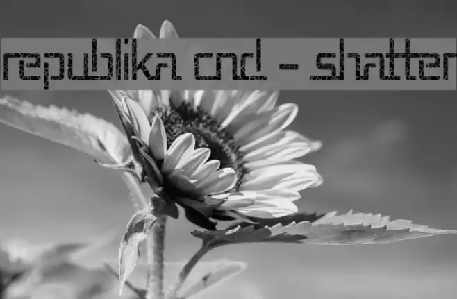 Republika Cnd - Shatter Font examples