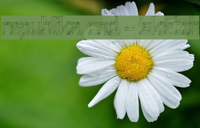 Republika Cnd - Sketch Example 1