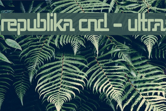 Republika Cnd - Ultra Font examples