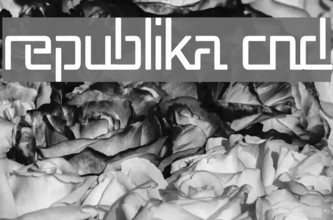 Republika Cnd Schriftart examples