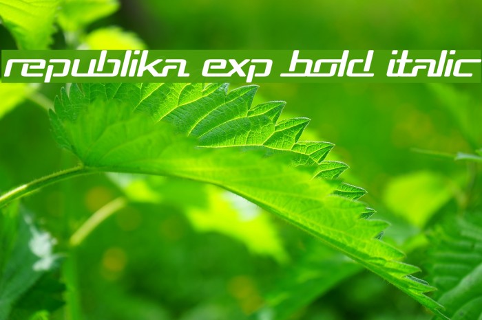 Republika Exp Bold Italic Example 3