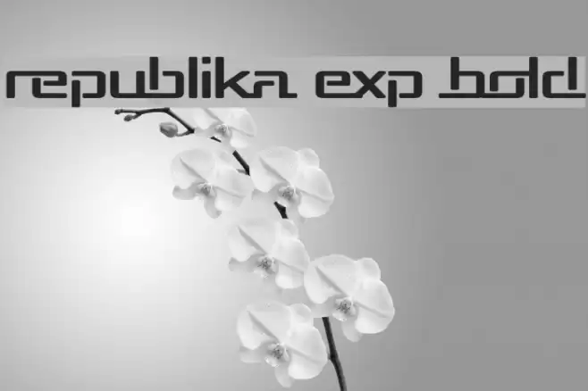 Republika Exp Bold Font examples