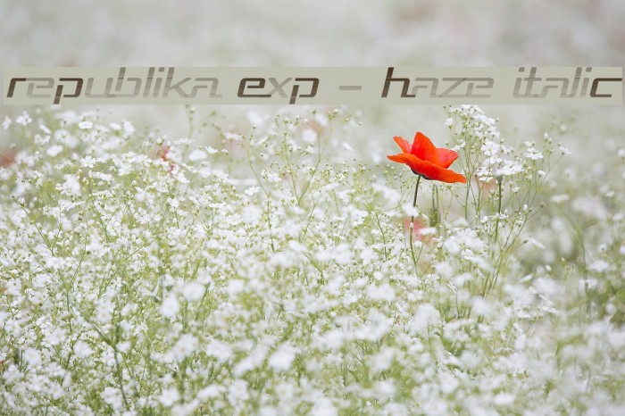Republika Exp - Haze Italic Font examples