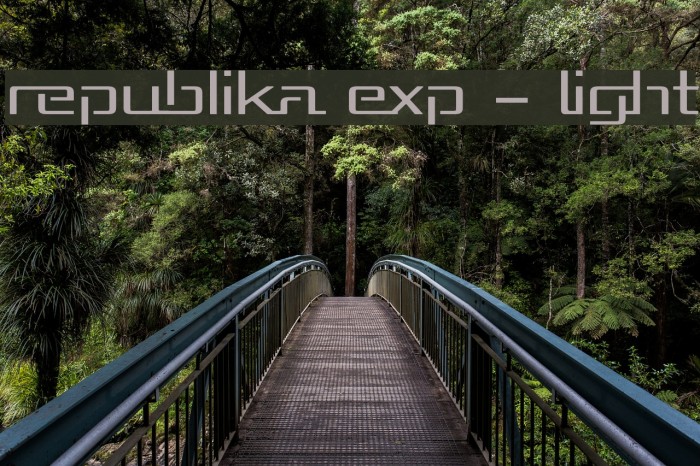 Republika Exp - Light Font examples