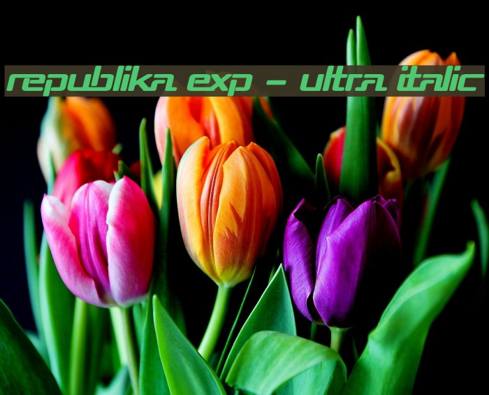 Republika Exp - Ultra Italic Example 3