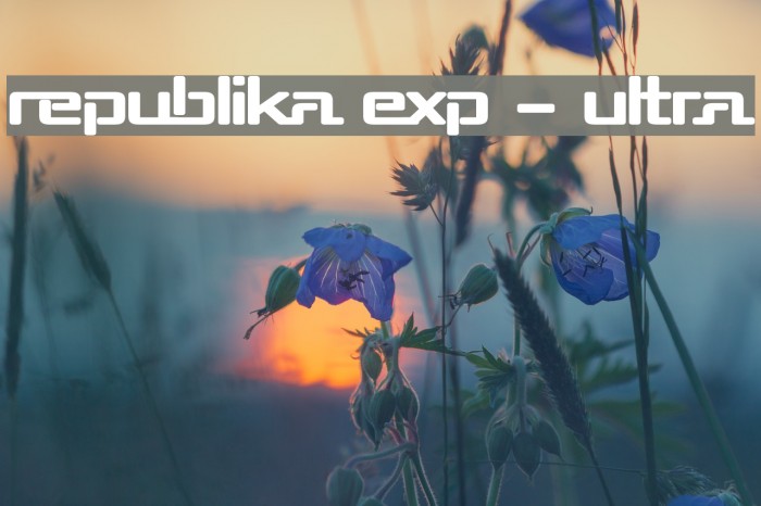 Republika Exp - Ultra Example 3