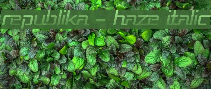 Republika - Haze Italic Font examples