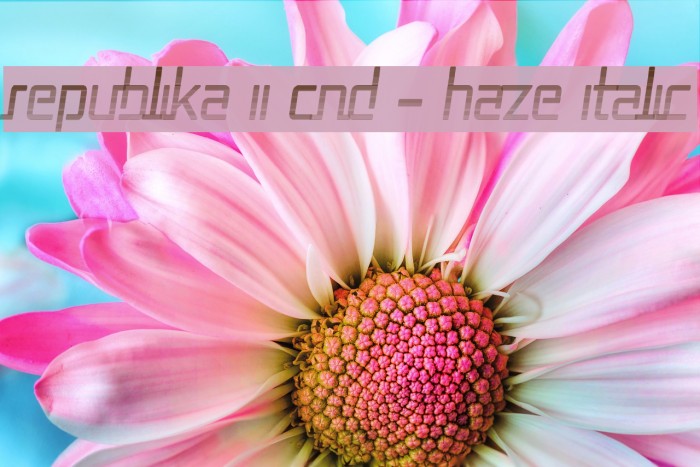 Republika II Cnd - Haze Italic Font examples