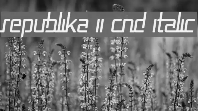 Republika II Cnd Italic Schriftart examples