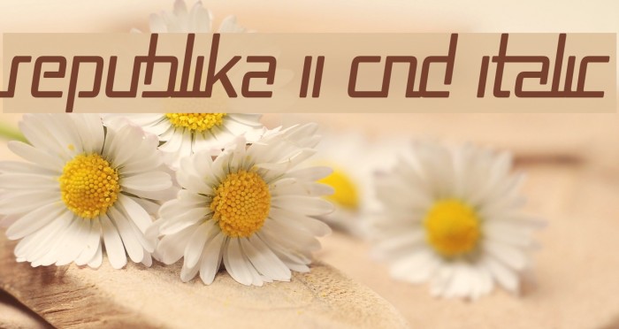 Republika II Cnd Italic Schriftart examples