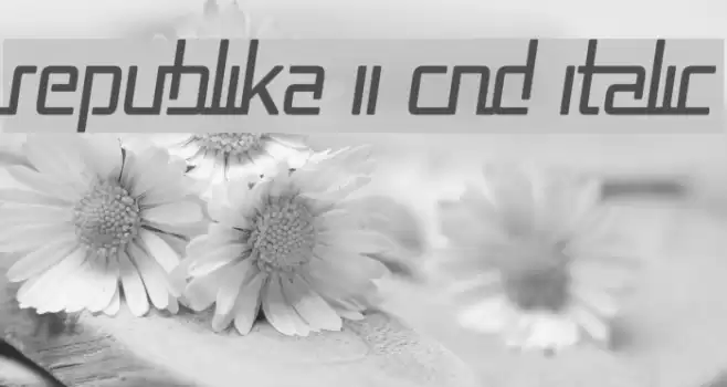 Republika II Cnd Italic Schriftart examples