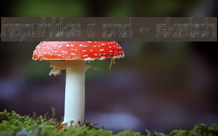 Republika II Cnd - Sketch Example 1