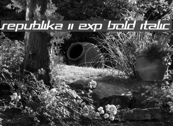 Republika II Exp Bold Italic Polices examples