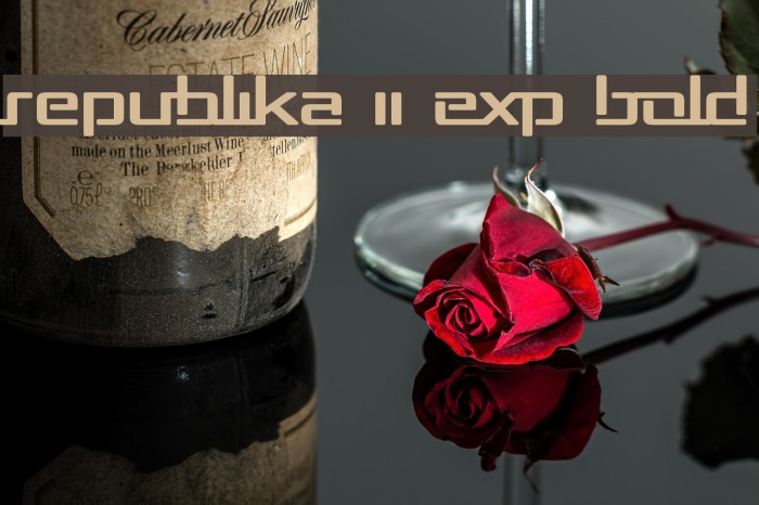 Republika II Exp Bold Font examples