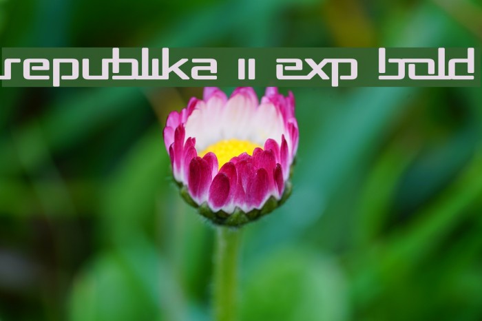 Republika II Exp Bold Font examples