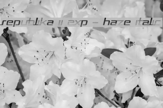 Republika II Exp - Haze Italic Font examples