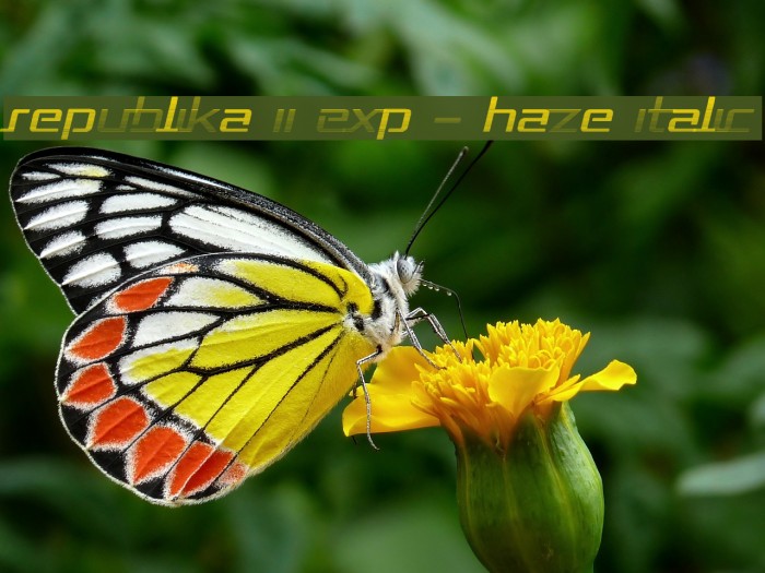 Republika II Exp - Haze Italic Example 2