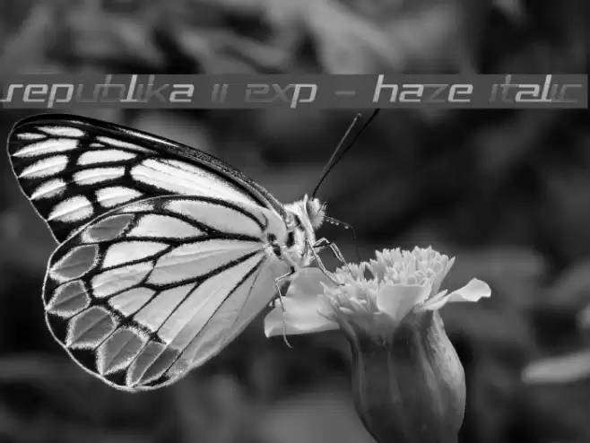 Republika II Exp - Haze Italic Font examples