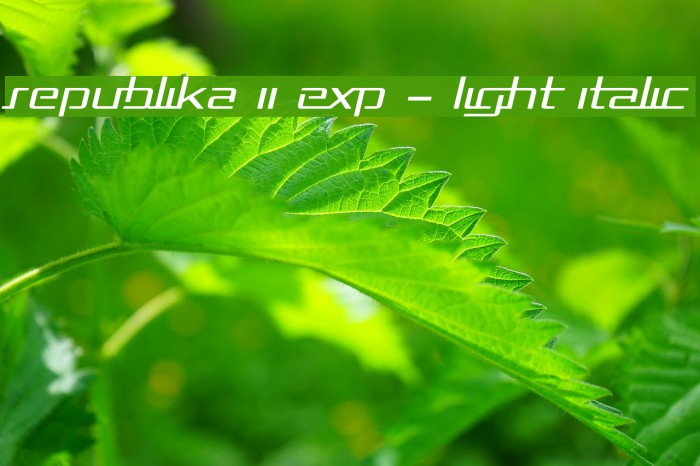 Republika II Exp - Light Italic Font examples