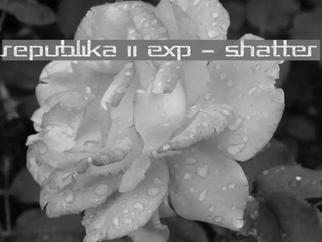Republika II Exp - Shatter Font examples