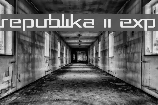Republika II Exp フォント examples