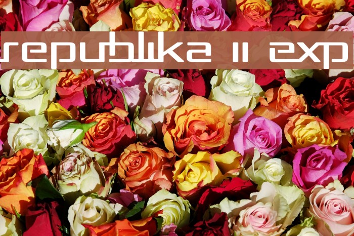 Republika II Exp Fonte examples