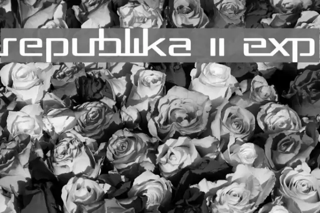 Republika II Exp フォント examples
