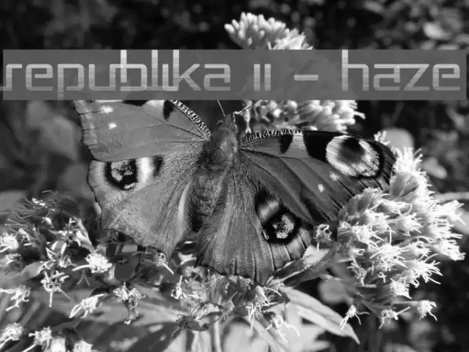 Republika II - Haze Font examples