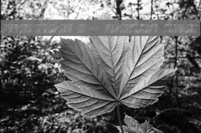 Republika II - Sketch Italic Font examples