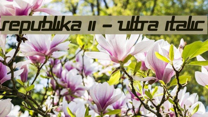 Republika II - Ultra Italic Font examples